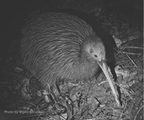 Russell-Orongo Bay Holiday Park Campground/
RV Resort in Northland