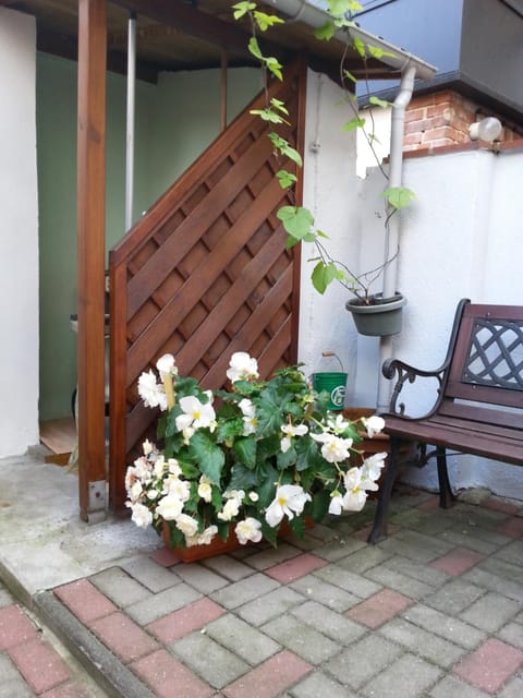 Property building, Patio