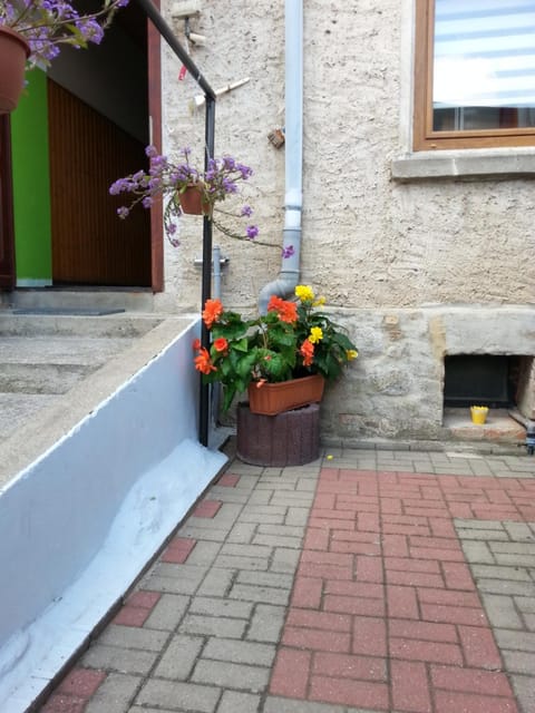 Property building, Facade/entrance, Garden