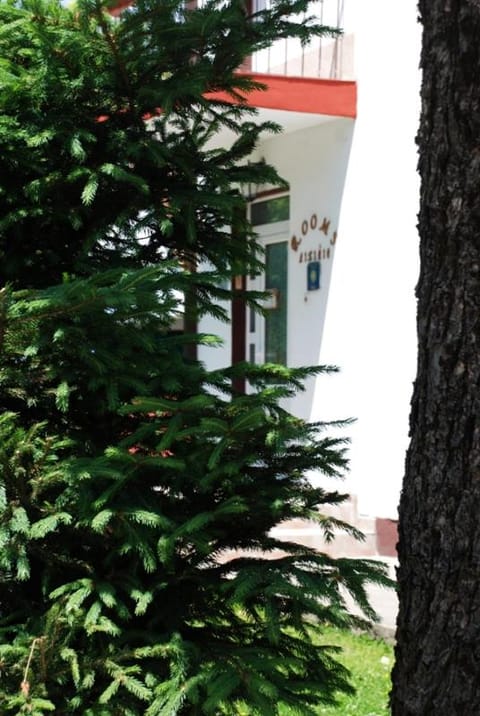 Rooms Lisičić Bed and Breakfast in Montenegro