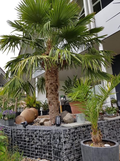 Patio, Balcony/Terrace