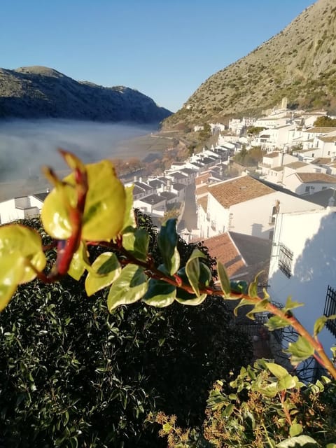 Natural landscape, City view, Mountain view