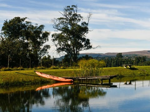 Lake view