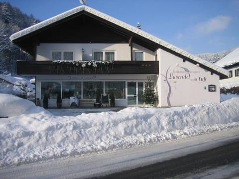 Property building, Winter