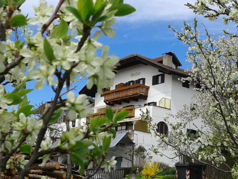 Property building, Spring