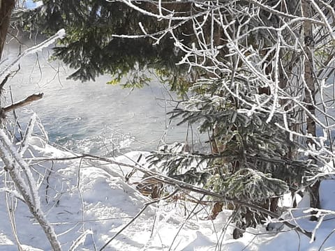 Alpenlodge Kirchbach Apartment in Friuli-Venezia Giulia