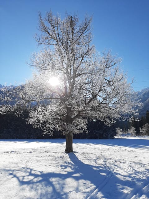 Alpenlodge Kirchbach Apartment in Friuli-Venezia Giulia