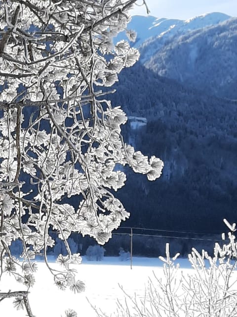 Alpenlodge Kirchbach Apartment in Friuli-Venezia Giulia