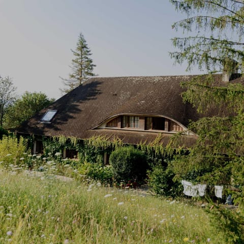 Property building, Natural landscape, Garden