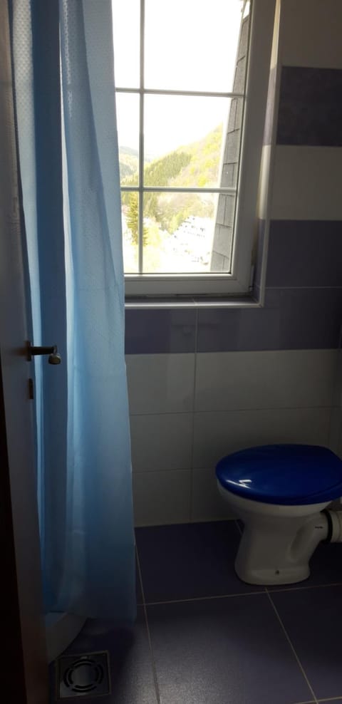 Apartmani Nebrigic Apartment in Serbia