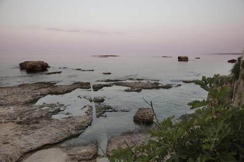 Nearby landmark, Natural landscape