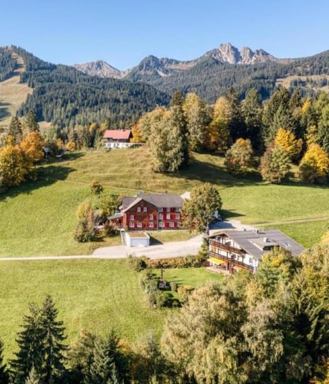 Ferienwohnung Tschengla mit eigener Sonnenterrasse - Wiese - Wlan Apartment in Bürserberg