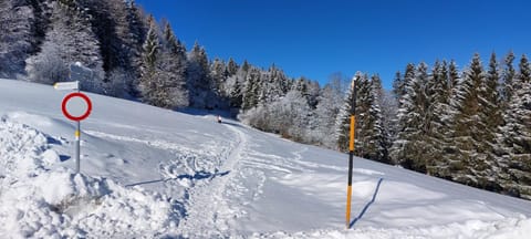 Ferienwohnung Tschengla mit eigener Sonnenterrasse - Wiese - Wlan Apartment in Bürserberg