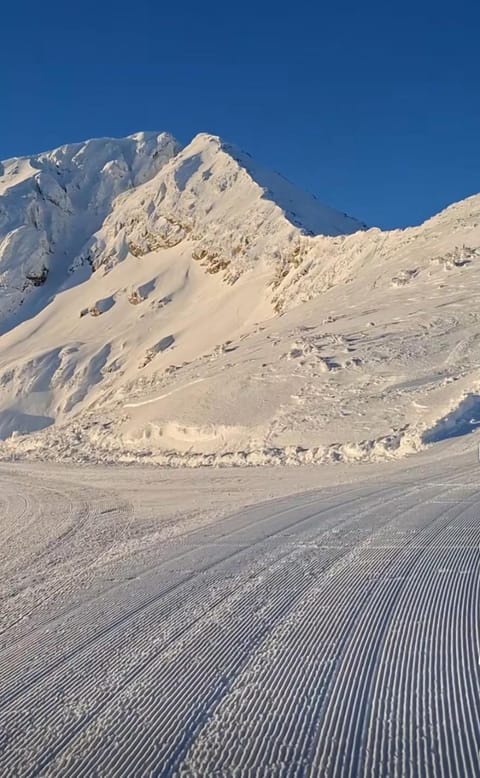 Simonen Apartments near the Gondola Apartment in Bansko