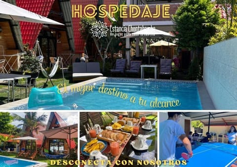 Day, People, Food and drinks, Food, Pool view, Swimming pool, group of guests