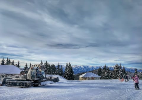 Guest Rooms Metaksinovi Bed and Breakfast in Plovdiv Province