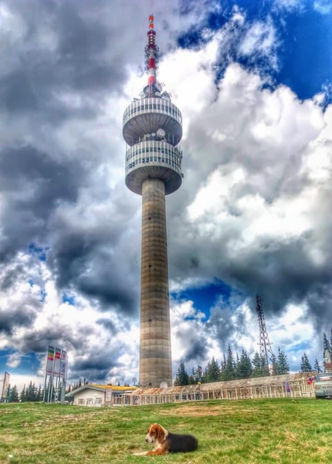 Guest Rooms Metaksinovi Bed and Breakfast in Plovdiv Province