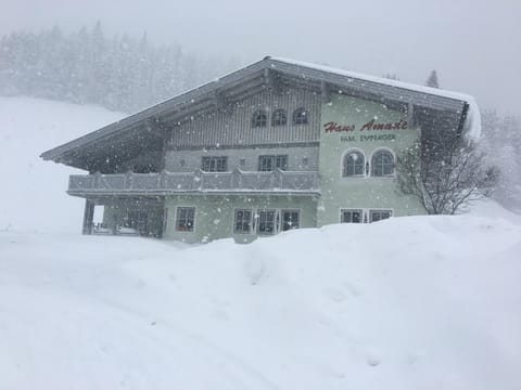 Winter