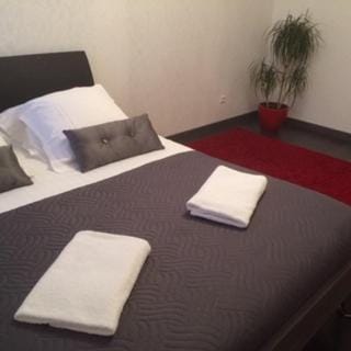 Monte Cristo Apartment in Metz