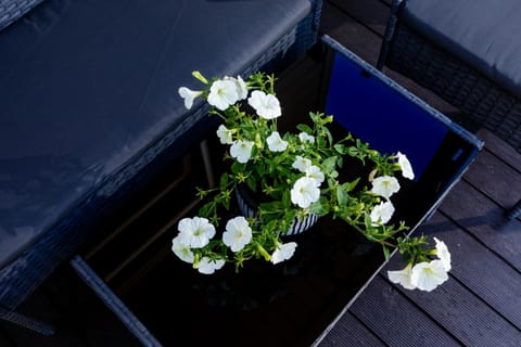 Domki letniskowe Modrzew Nature lodge in West Pomeranian Voivodeship, Poland