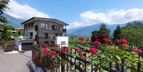 Property building, Spring, Natural landscape, Garden, City view, Mountain view