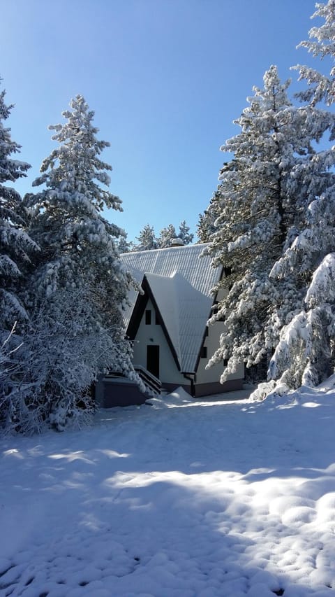 Kuća za odmor Arsenijević House in Zlatibor