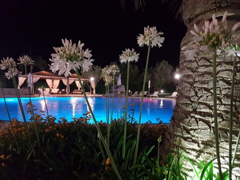 Night, Swimming pool, Swimming pool
