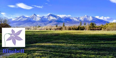 Natural landscape, Hiking, Mountain view