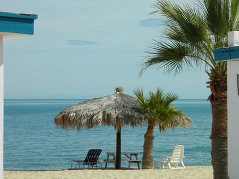 Patio, Staff, Natural landscape, Beach, Guests, Sea view, Area and facilities, Family