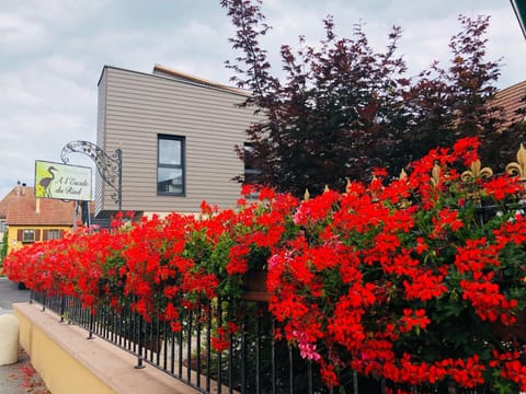 Gîte de l'escale 76 / 77 House in Baden-Württemberg