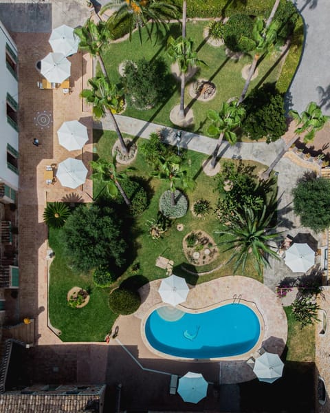 Patio, Garden view, Pool view, Swimming pool