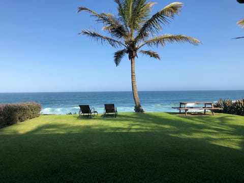 Restaurant/places to eat, Garden, Beach
