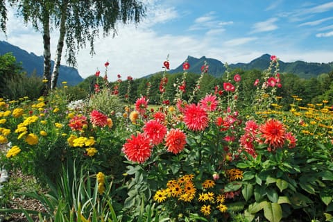 Gästehaus Koyerbauer Boardinghouse Farm Stay in Aschau im Chiemgau