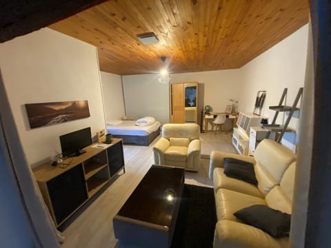 Bed, TV and multimedia, Living room, Photo of the whole room, Seating area