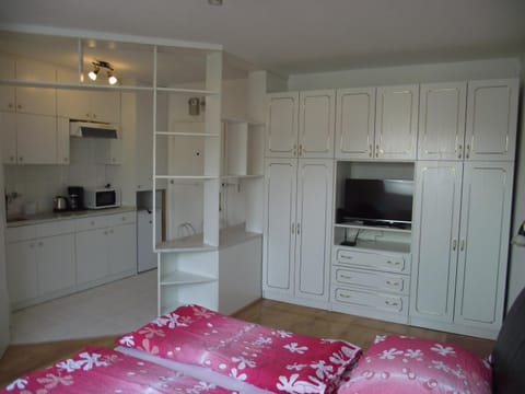 Kitchen or kitchenette, Living room, Dining area, Bedroom