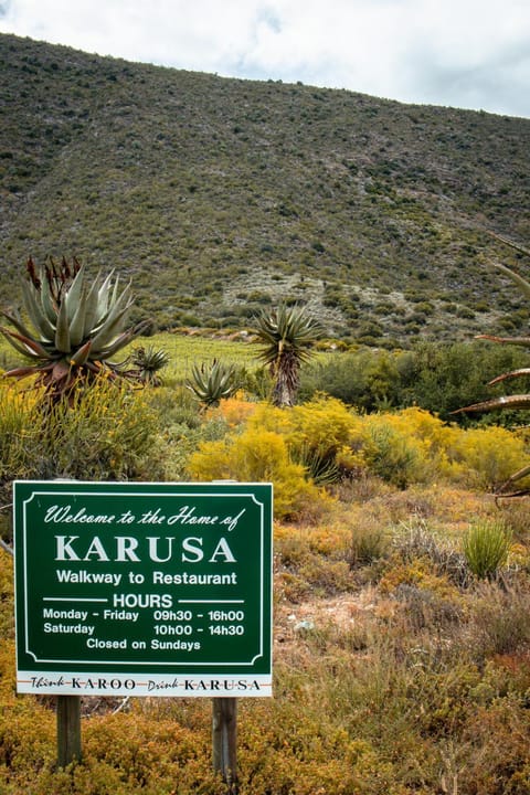 Restaurant/places to eat, Spring, Day, Natural landscape, On site, Mountain view