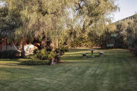 Natural landscape, BBQ facilities, Children play ground, Garden, Balcony/Terrace, children, children, young children, older children