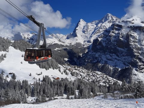 Winter, Skiing, On site