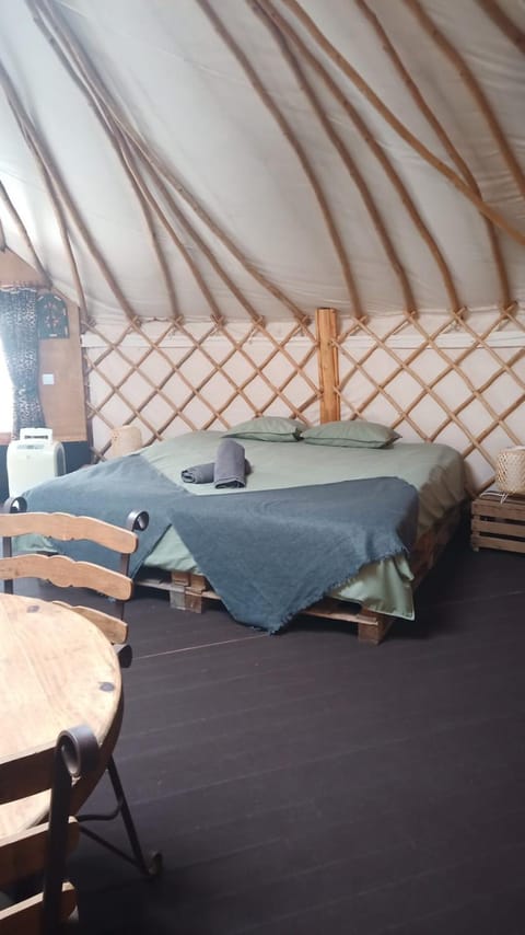 Bed
