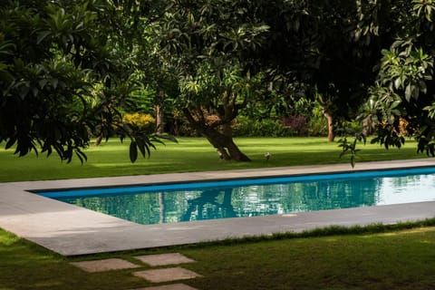 Spring, Day, Natural landscape, Garden, Garden view, Pool view, Swimming pool