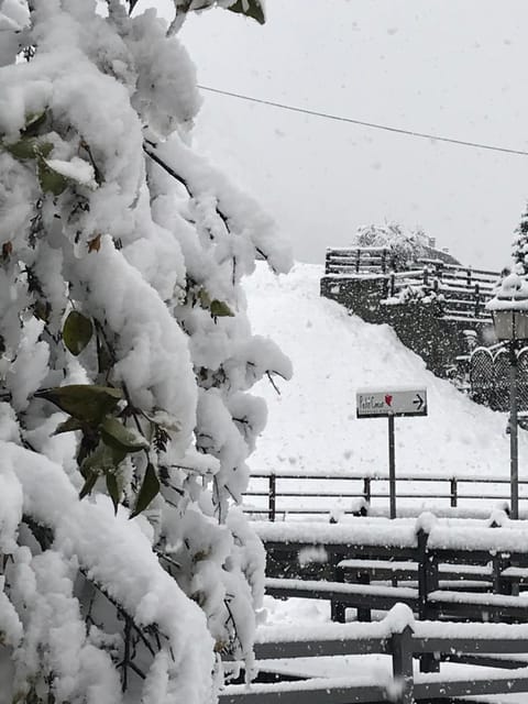 Affittacamere Petit Coeur Bed and Breakfast in Champoluc