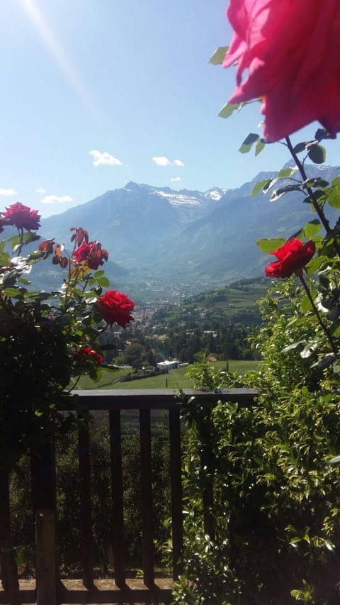 Day, Natural landscape, View (from property/room), Balcony/Terrace, Mountain view