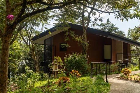 Property building, Garden, Garden view