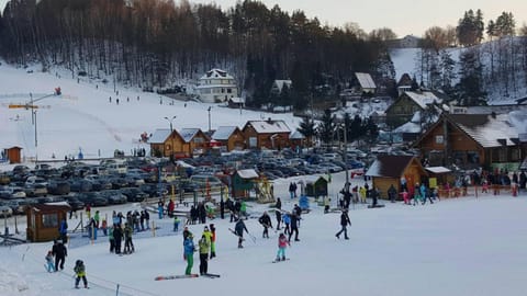 Leśniczówka WIEŻYCA Vacation rental in Pomeranian Voivodeship