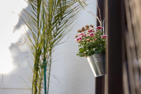 Cathleen Bohnert Apartment in Lindau