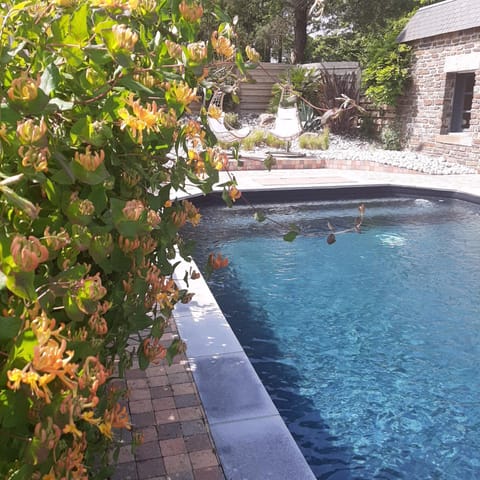 Garden, Garden view, Swimming pool