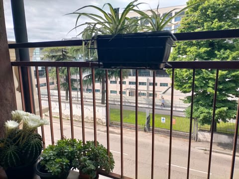 CASA DELLA ZIA ELSA Bed and Breakfast in Verona