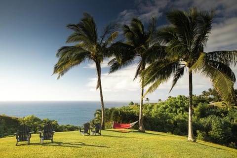 Natural landscape, Sea view