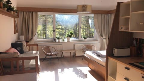 Karwendel-Lodge Apartment in Tyrol