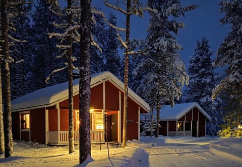 Property building, Night, Natural landscape, Winter